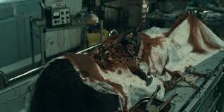 Köpek Evi Fotoğrafı