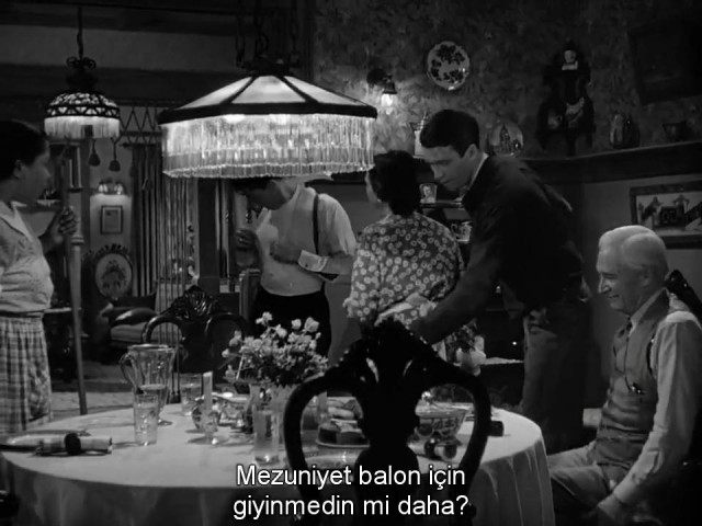 Şahane Hayat Fotoğrafı