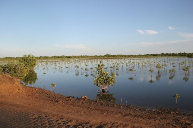 The Forgotten Bag Fotoğrafı