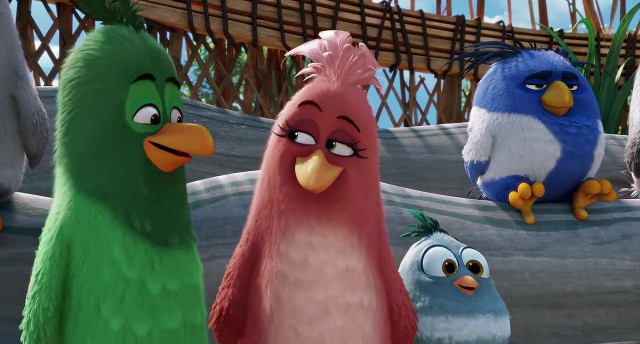 Angry Birds Fotoğrafı