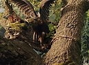 Malefiz Fotoğrafı