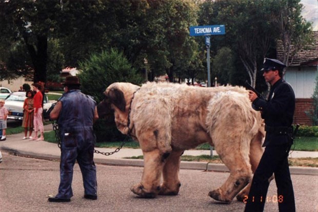 The Sandlot Fotoğrafları 1