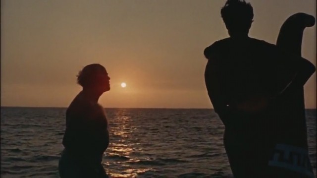 Altın Postlu Cengaver Fotoğrafı