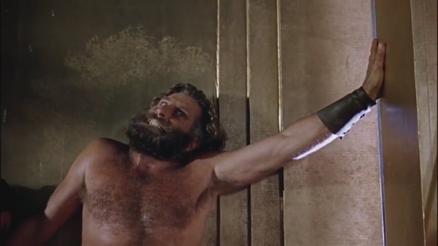 Altın Postlu Cengaver Fotoğrafı