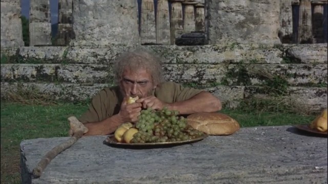 Altın Postlu Cengaver Fotoğrafı