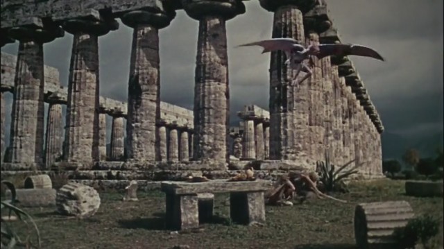 Altın Postlu Cengaver Fotoğrafı