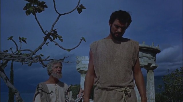 Altın Postlu Cengaver Fotoğrafı