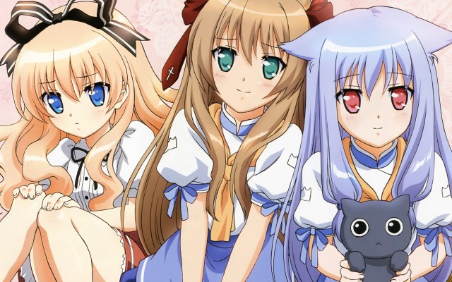 Mayoi Neko Overrun! Fotoğrafı