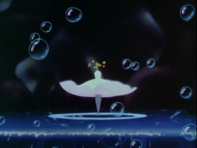 Fantasia Fotoğrafı