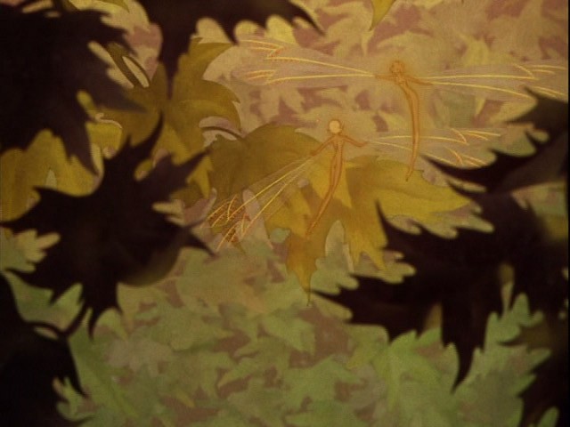 Fantasia Fotoğrafı