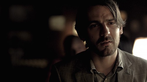 Kayısı Fotoğrafı