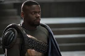 Black Panther Fotoğrafı