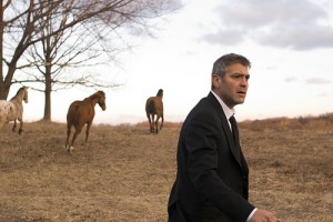 Avukat Fotoğrafı