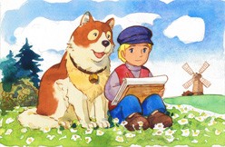 Dog Of Flanders Fotoğrafı