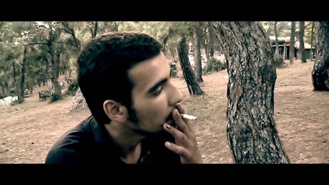 Topal Martı Fotoğrafı