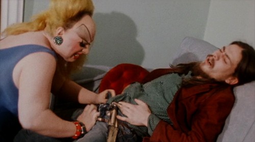 Pembe Flamingolar Fotoğrafı