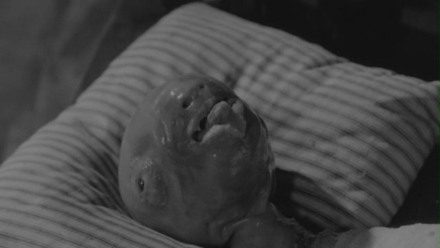 Eraserhead Fotoğrafı