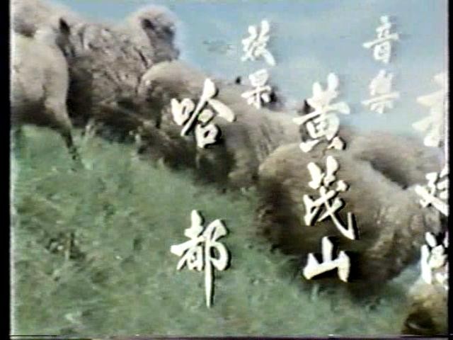 Wild Bunch Of Kung Fu Fotoğrafı