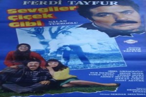 Sevgiler çiçek Gibi Fotoğrafı