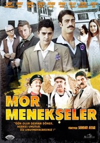 Mor Menekşeler Fotoğrafı
