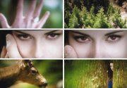 Alacakaranlık Efsanesi: Şafak Vakti Bölüm 2 Fotoğrafı