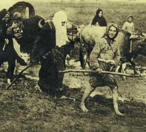 Çanakkale 1915 Fotoğrafları 15