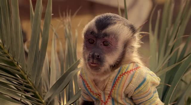 Hazine Bekçileri Fotoğrafı