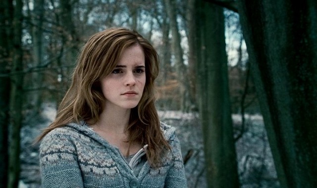 Harry Potter ve Ölüm Yadigarları: Bölüm 1 Fotoğrafı