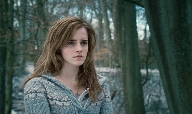 Harry Potter ve Ölüm Yadigarları: Bölüm 1 Fotoğrafı