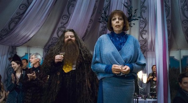 Harry Potter ve Ölüm Yadigarları: Bölüm 1 Fotoğrafı