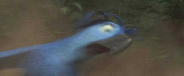 Rio 2 Fotoğrafı