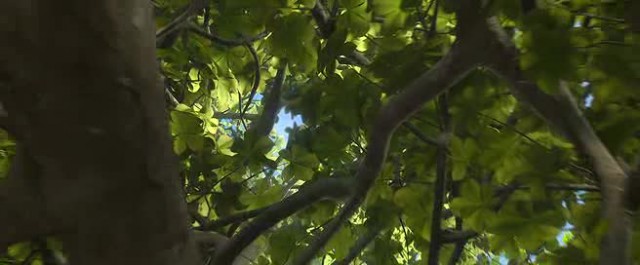 Rio 2 Fotoğrafı