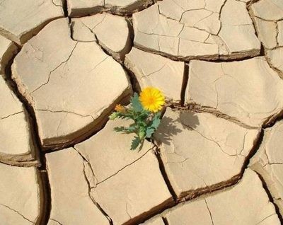 Hükümet Kadın Fotoğrafı