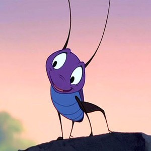 Mulan Fotoğrafı