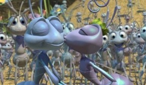 Bir Böceğin Yaşamı Fotoğrafı