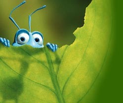 Bir Böceğin Yaşamı Fotoğrafı