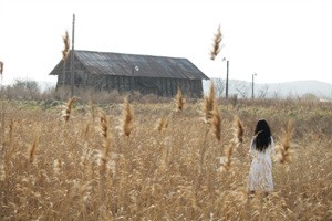 Arang Fotoğrafı