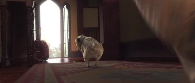 Doğal Kahramanlar Fotoğrafı