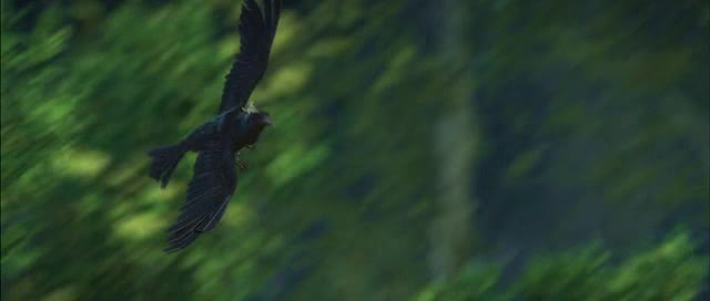 Doğal Kahramanlar Fotoğrafı