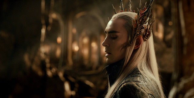 Hobbit: Smaug'un Çorak Toprakları Fotoğrafı