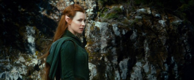 Hobbit: Smaug'un Çorak Toprakları Fotoğrafı