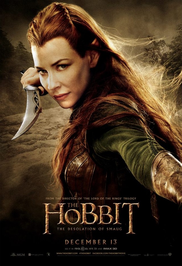 Hobbit: Smaug'un Çorak Toprakları Fotoğrafı