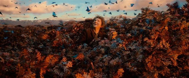 Hobbit: Smaug'un Çorak Toprakları Fotoğrafı