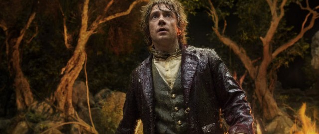 Hobbit: Smaug'un Çorak Toprakları Fotoğrafı