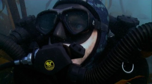 Yırtıcılarla Yüz Yüze: Köpekbalıklarının Av Zamanı Fotoğrafı