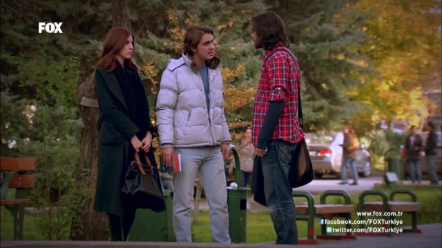 Deniz Yıldızı Fotoğrafı