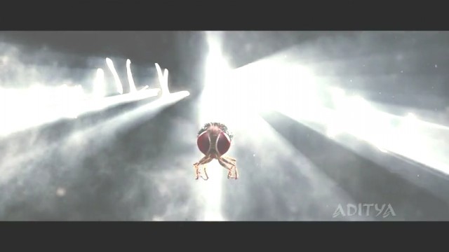 Eega Kara Sineğin İntikamı Fotoğrafı