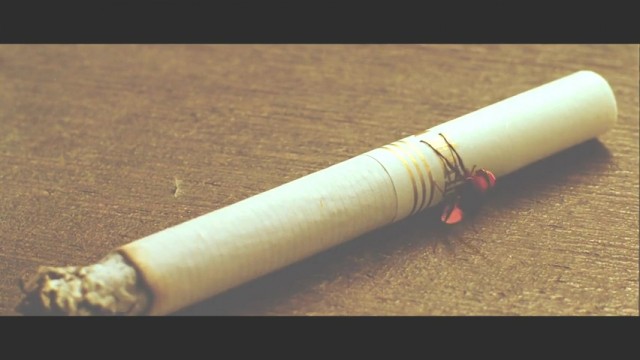 Eega Kara Sineğin İntikamı Fotoğrafı