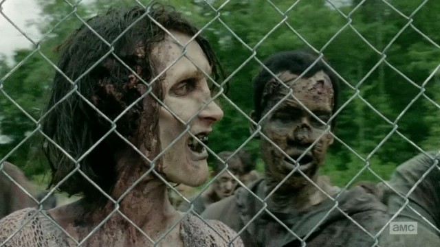 The Walking Dead Fotoğrafı