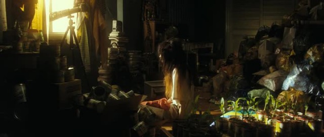 Kim'in Adası Fotoğrafı